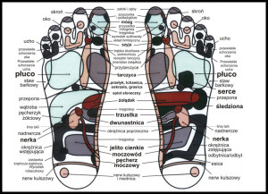 mapa receptorów na stopie